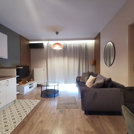 White Swan Apartment Krasków Εξωτερικό φωτογραφία