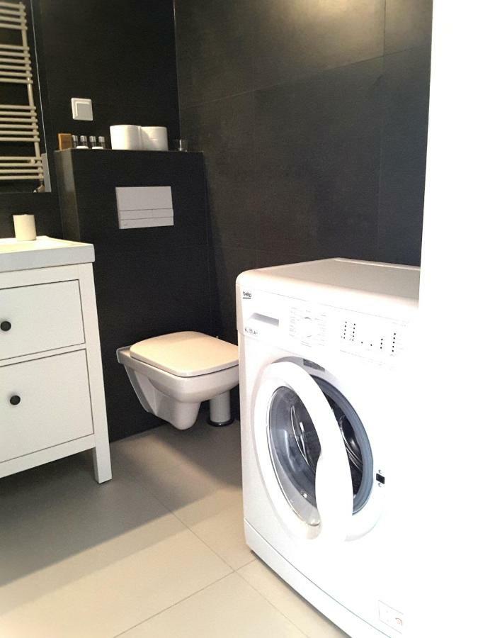 White Swan Apartment Krasków Εξωτερικό φωτογραφία