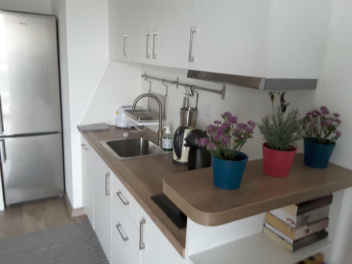 White Swan Apartment Krasków Εξωτερικό φωτογραφία